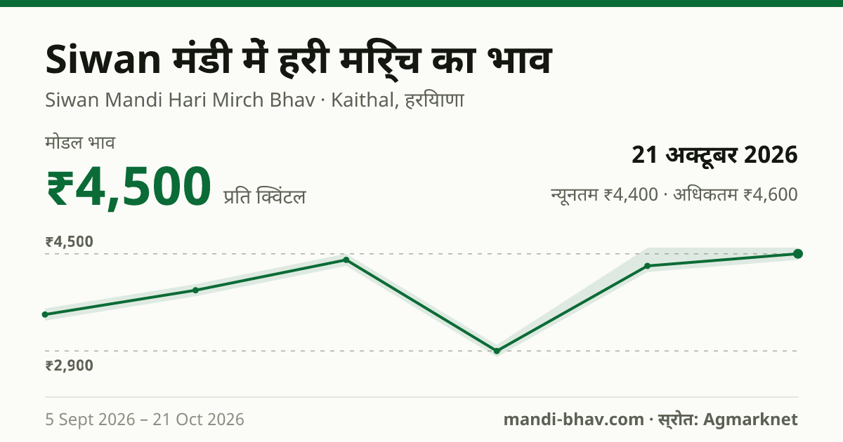 Siwan मंडी में हरी मिर्च का भाव 21 अक्टूबर 2026: मोडल ₹4,500 प्रति क्विंटल, भाव के रुझान का चार्ट