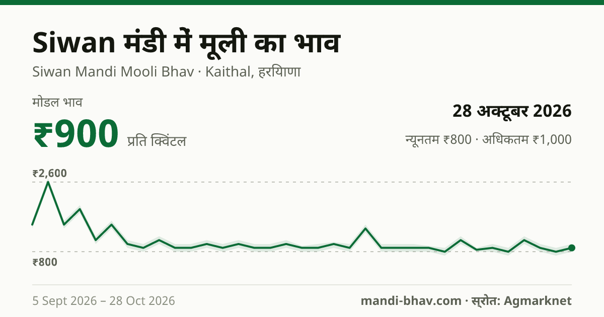 Siwan मंडी में मूली का भाव 28 अक्टूबर 2026: मोडल ₹900 प्रति क्विंटल, भाव के रुझान का चार्ट
