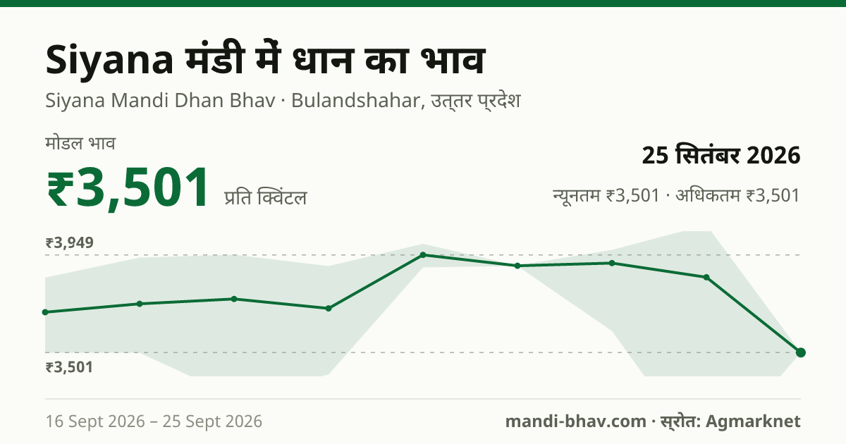 Siyana मंडी में धान का भाव 25 सितंबर 2026: मोडल ₹3,501 प्रति क्विंटल, भाव के रुझान का चार्ट