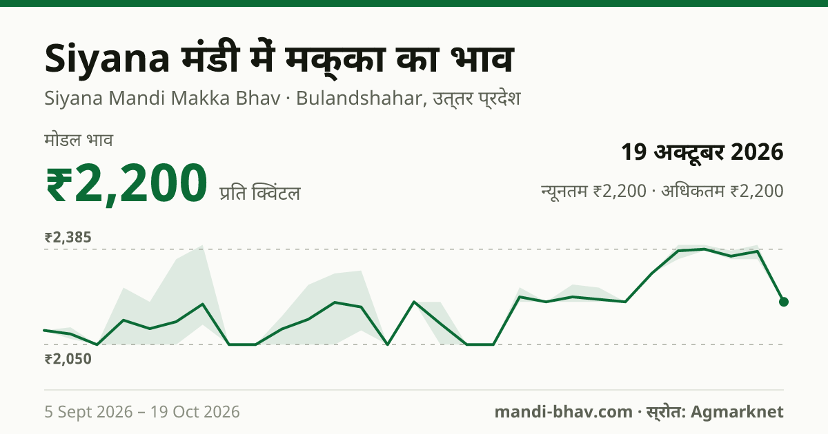 Siyana मंडी में मक्का का भाव 19 अक्टूबर 2026: मोडल ₹2,200 प्रति क्विंटल, भाव के रुझान का चार्ट