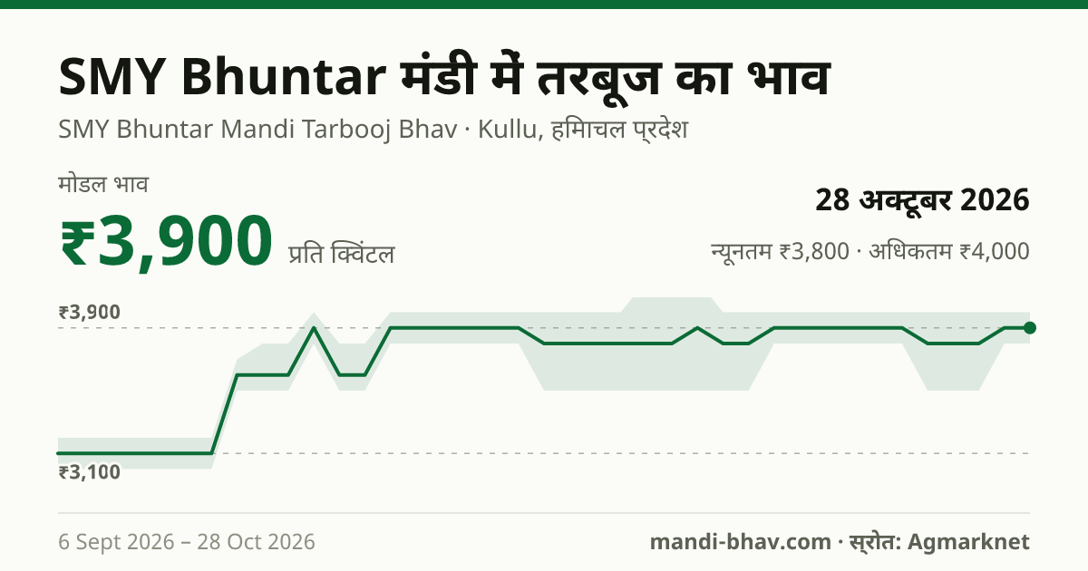 SMY Bhuntar मंडी में तरबूज का भाव 28 अक्टूबर 2026: मोडल ₹3,900 प्रति क्विंटल, भाव के रुझान का चार्ट