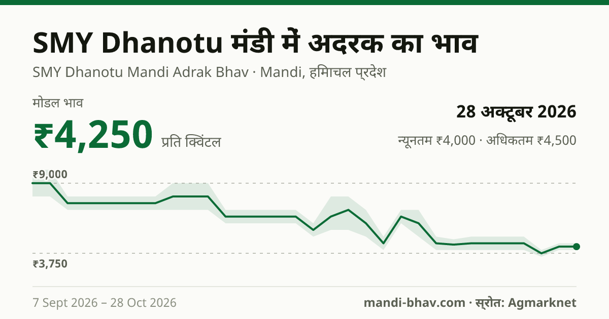 SMY Dhanotu मंडी में अदरक का भाव 28 अक्टूबर 2026: मोडल ₹4,250 प्रति क्विंटल, भाव के रुझान का चार्ट
