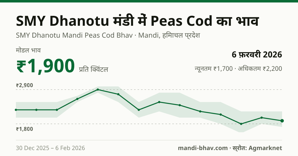 SMY Dhanotu मंडी में Peas Cod का भाव 6 फ़रवरी 2026: मोडल ₹1,900 प्रति क्विंटल, भाव के रुझान का चार्ट