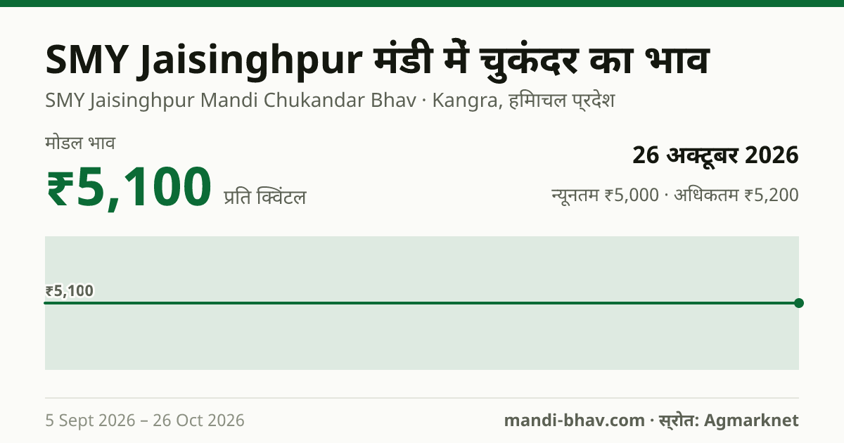 SMY Jaisinghpur मंडी में चुकंदर का भाव 26 अक्टूबर 2026: मोडल ₹5,100 प्रति क्विंटल, भाव के रुझान का चार्ट