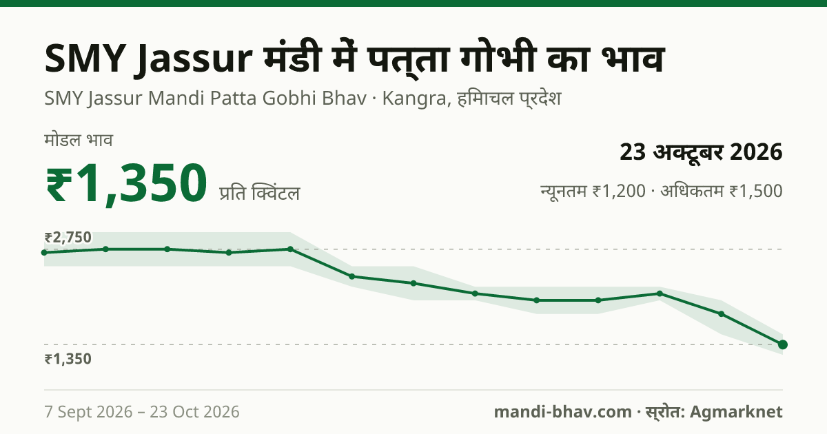 SMY Jassur मंडी में पत्ता गोभी का भाव 23 अक्टूबर 2026: मोडल ₹1,350 प्रति क्विंटल, भाव के रुझान का चार्ट