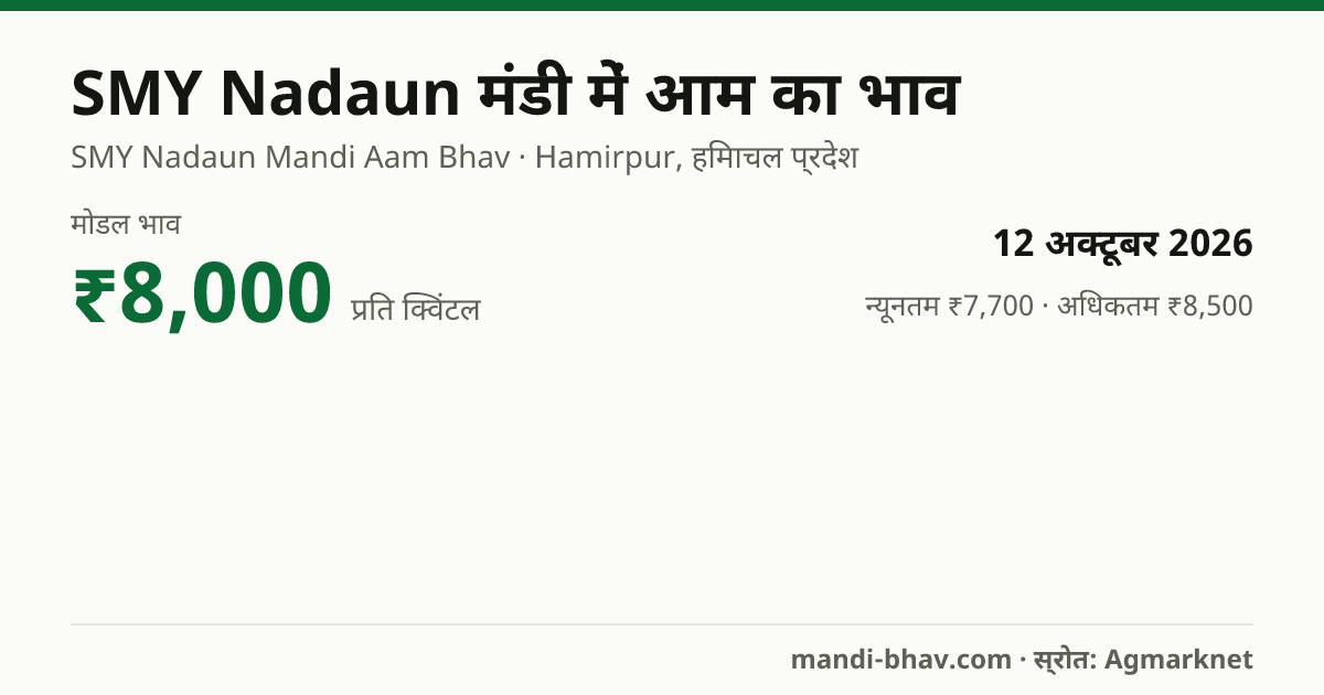 SMY Nadaun मंडी में आम का भाव 12 अक्टूबर 2026: मोडल ₹8,000 प्रति क्विंटल, भाव के रुझान का चार्ट