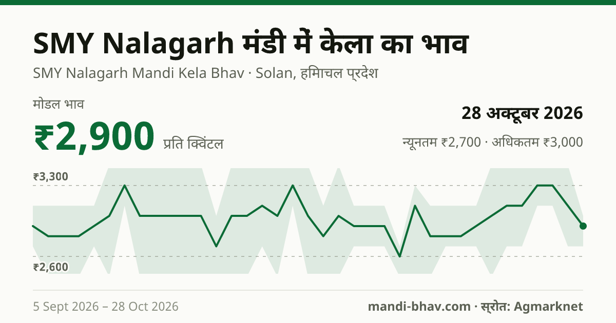 SMY Nalagarh मंडी में केला का भाव 28 अक्टूबर 2026: मोडल ₹2,900 प्रति क्विंटल, भाव के रुझान का चार्ट