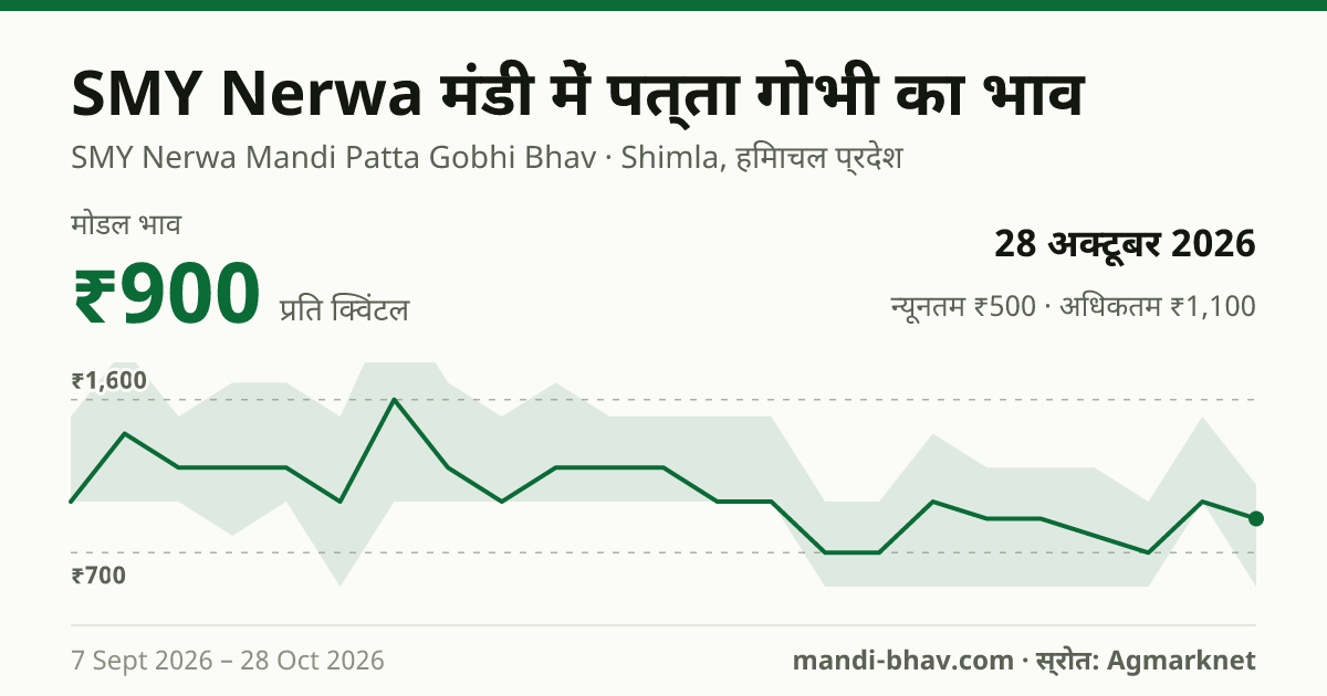 SMY Nerwa मंडी में पत्ता गोभी का भाव 28 अक्टूबर 2026: मोडल ₹900 प्रति क्विंटल, भाव के रुझान का चार्ट