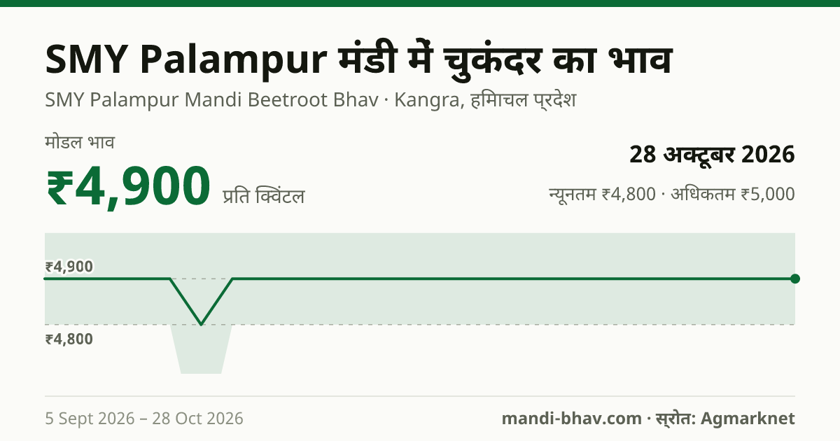 SMY Palampur मंडी में चुकंदर का भाव 28 अक्टूबर 2026: मोडल ₹4,900 प्रति क्विंटल, भाव के रुझान का चार्ट