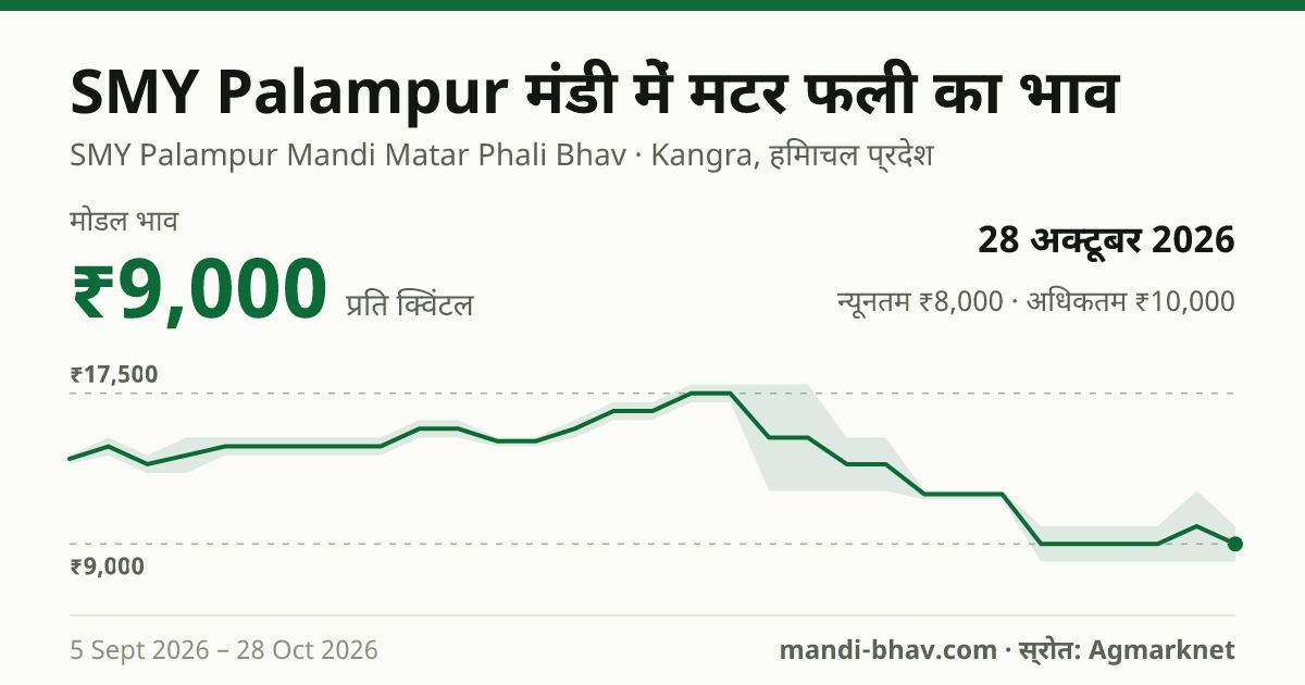 SMY Palampur मंडी में मटर फली का भाव 28 अक्टूबर 2026: मोडल ₹9,000 प्रति क्विंटल, भाव के रुझान का चार्ट