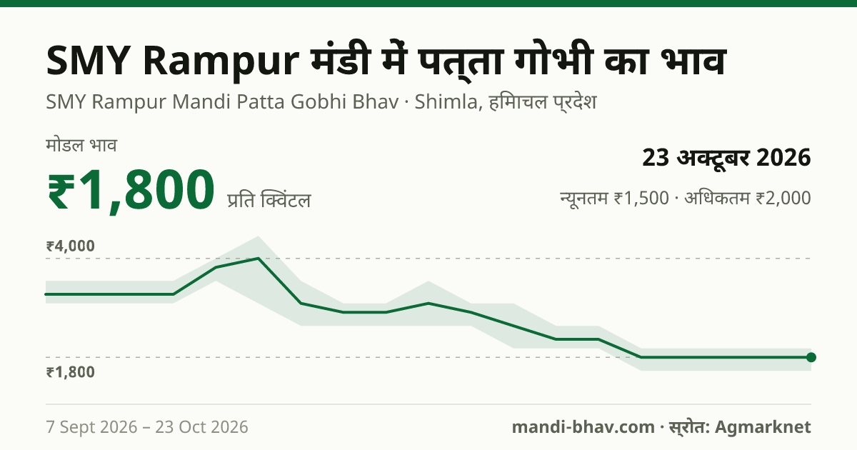 SMY Rampur मंडी में पत्ता गोभी का भाव 23 अक्टूबर 2026: मोडल ₹1,800 प्रति क्विंटल, भाव के रुझान का चार्ट