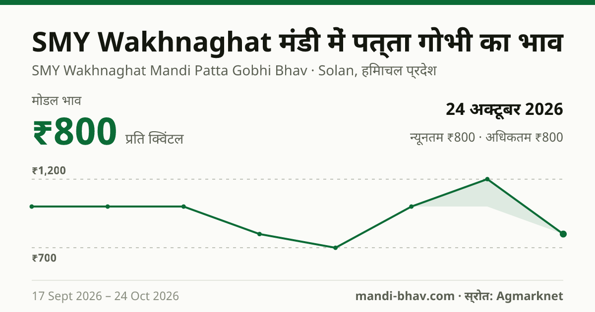 SMY Wakhnaghat मंडी में पत्ता गोभी का भाव 24 अक्टूबर 2026: मोडल ₹800 प्रति क्विंटल, भाव के रुझान का चार्ट