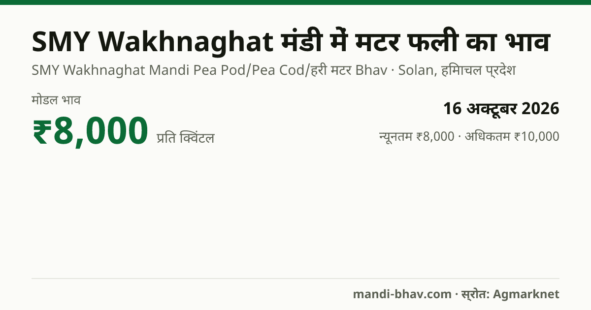 SMY Wakhnaghat मंडी में मटर फली का भाव 16 अक्टूबर 2026: मोडल ₹8,000 प्रति क्विंटल, भाव के रुझान का चार्ट