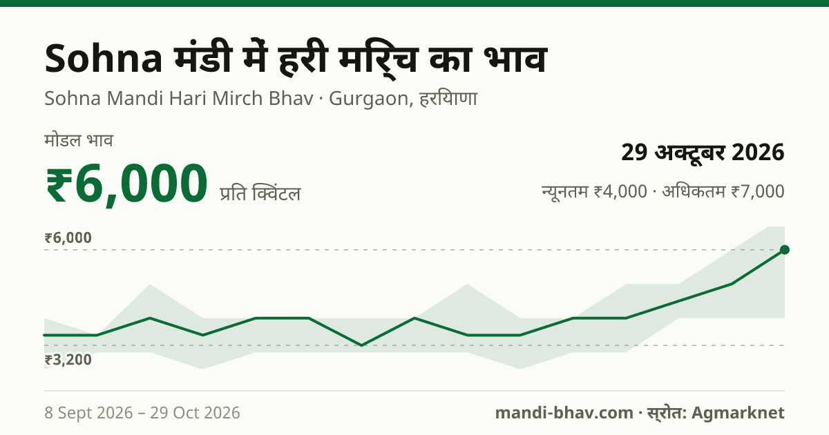 Sohna मंडी में हरी मिर्च का भाव 29 अक्टूबर 2026: मोडल ₹6,000 प्रति क्विंटल, भाव के रुझान का चार्ट