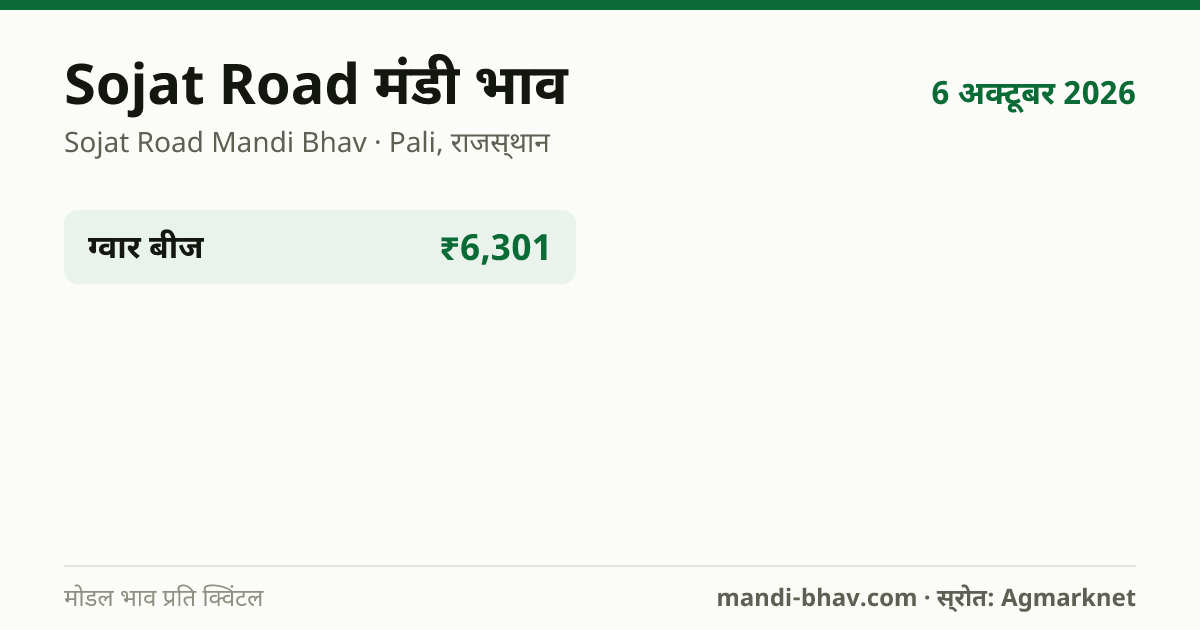 Sojat Road मंडी भाव 6 अक्टूबर 2026: फसलवार मोडल रेट प्रति क्विंटल