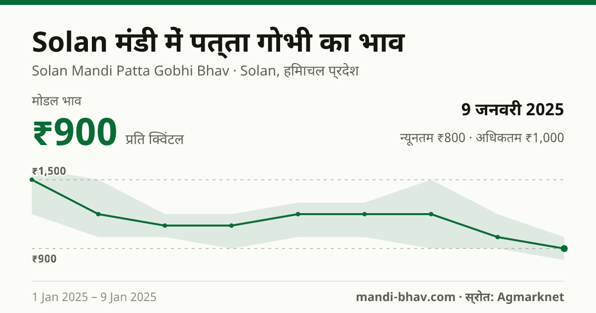 Solan मंडी में पत्ता गोभी का भाव 9 जनवरी 2025: मोडल ₹900 प्रति क्विंटल, भाव के रुझान का चार्ट