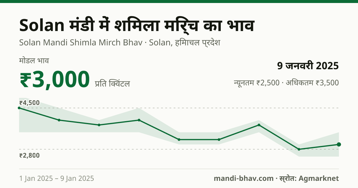 Solan मंडी में शिमला मिर्च का भाव 9 जनवरी 2025: मोडल ₹3,000 प्रति क्विंटल, भाव के रुझान का चार्ट