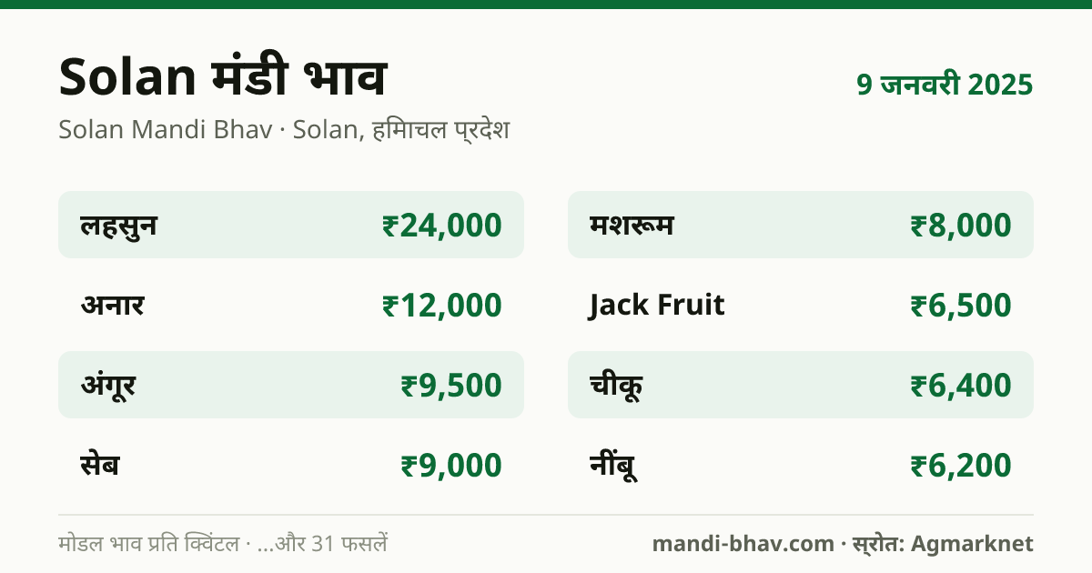 Solan मंडी भाव 9 जनवरी 2025: फसलवार मोडल रेट प्रति क्विंटल