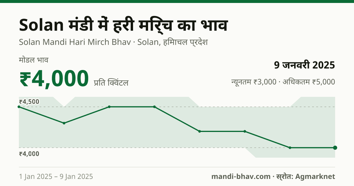Solan मंडी में हरी मिर्च का भाव 9 जनवरी 2025: मोडल ₹4,000 प्रति क्विंटल, भाव के रुझान का चार्ट