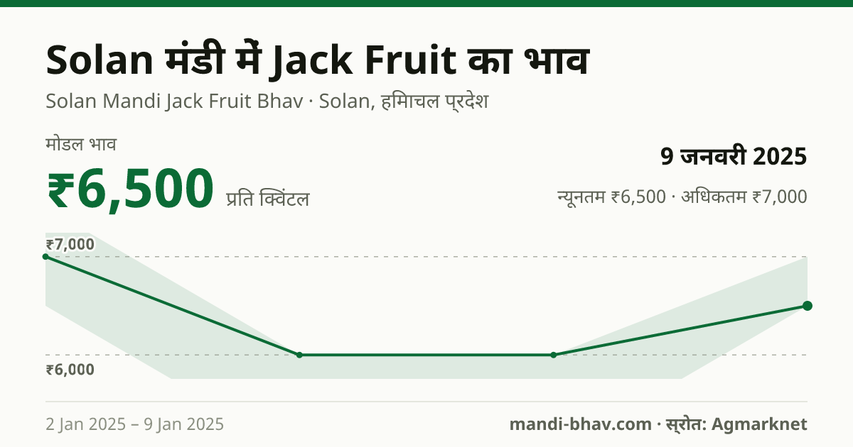Solan मंडी में Jack Fruit का भाव 9 जनवरी 2025: मोडल ₹6,500 प्रति क्विंटल, भाव के रुझान का चार्ट