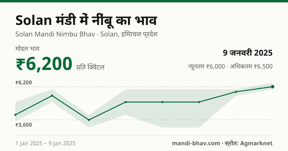Solan मंडी में नींबू का भाव 9 जनवरी 2025: मोडल ₹6,200 प्रति क्विंटल, भाव के रुझान का चार्ट