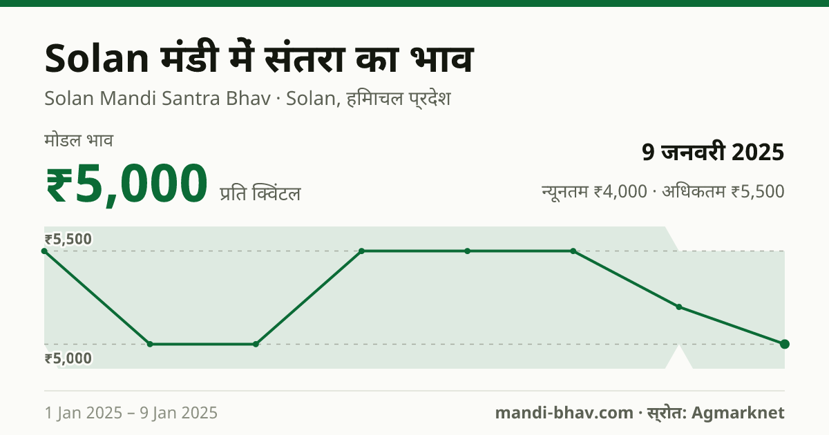 Solan मंडी में संतरा का भाव 9 जनवरी 2025: मोडल ₹5,000 प्रति क्विंटल, भाव के रुझान का चार्ट