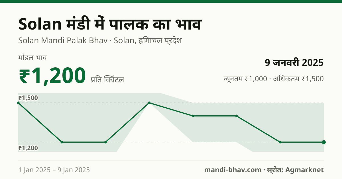 Solan मंडी में पालक का भाव 9 जनवरी 2025: मोडल ₹1,200 प्रति क्विंटल, भाव के रुझान का चार्ट