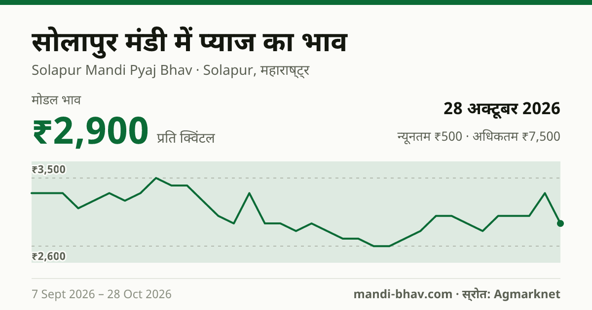 सोलापुर मंडी में प्याज का भाव 28 अक्टूबर 2026: मोडल ₹2,900 प्रति क्विंटल, भाव के रुझान का चार्ट