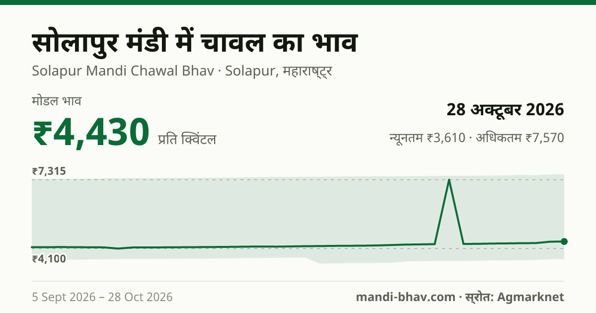 सोलापुर मंडी में चावल का भाव 28 अक्टूबर 2026: मोडल ₹4,430 प्रति क्विंटल, भाव के रुझान का चार्ट