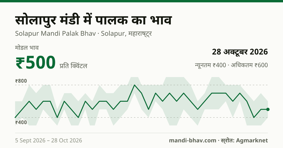 सोलापुर मंडी में पालक का भाव 28 अक्टूबर 2026: मोडल ₹500 प्रति क्विंटल, भाव के रुझान का चार्ट