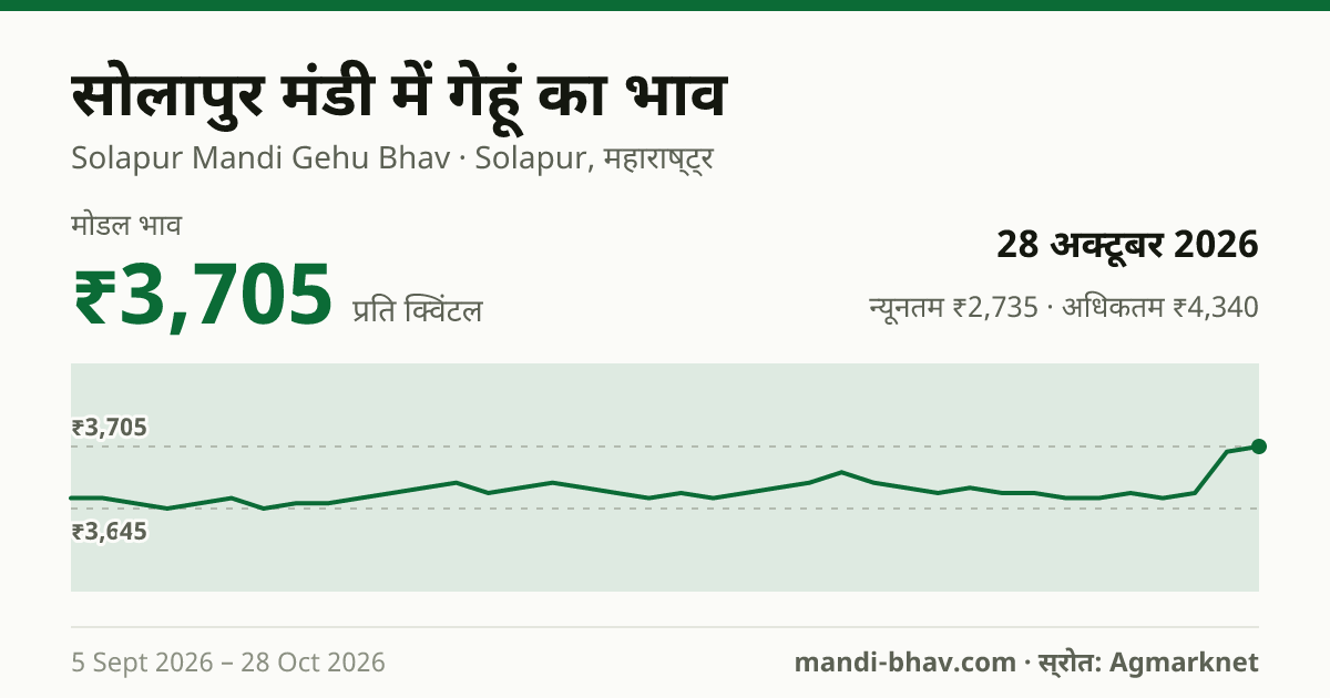 सोलापुर मंडी में गेहूं का भाव 28 अक्टूबर 2026: मोडल ₹3,705 प्रति क्विंटल, भाव के रुझान का चार्ट