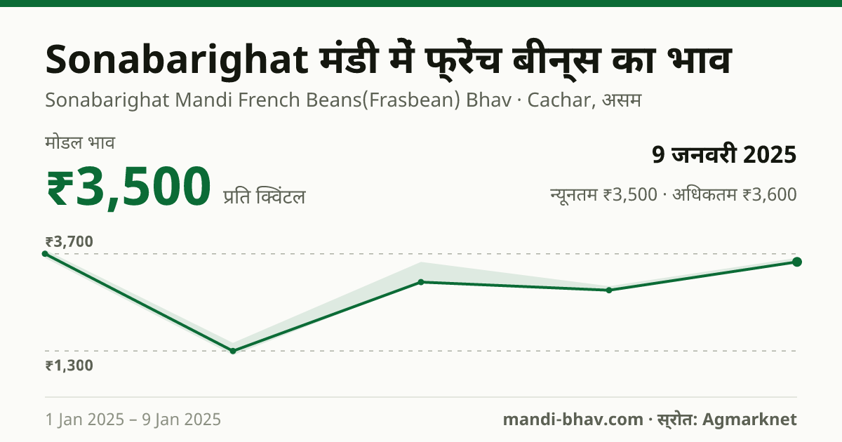 Sonabarighat मंडी में फ्रेंच बीन्स का भाव 9 जनवरी 2025: मोडल ₹3,500 प्रति क्विंटल, भाव के रुझान का चार्ट