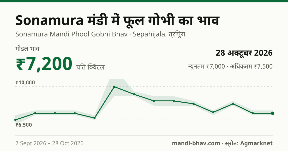 Sonamura मंडी में फूल गोभी का भाव 28 अक्टूबर 2026: मोडल ₹7,200 प्रति क्विंटल, भाव के रुझान का चार्ट