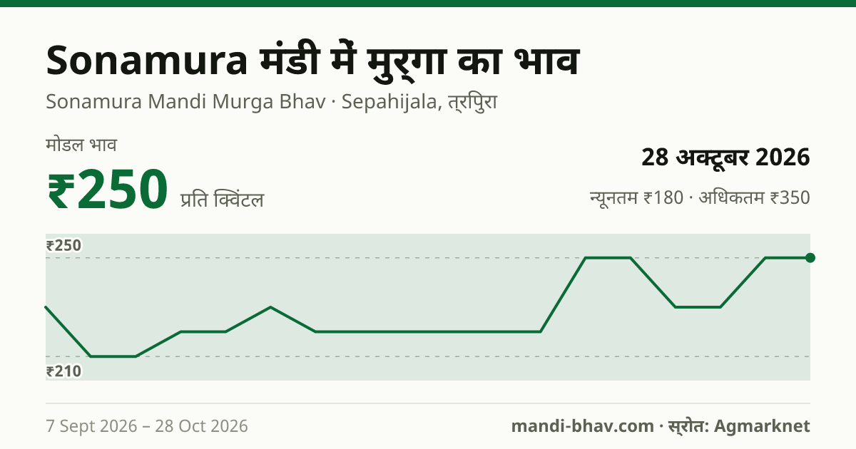 Sonamura मंडी में Cock का भाव 28 अक्टूबर 2026: मोडल ₹250 प्रति क्विंटल, भाव के रुझान का चार्ट