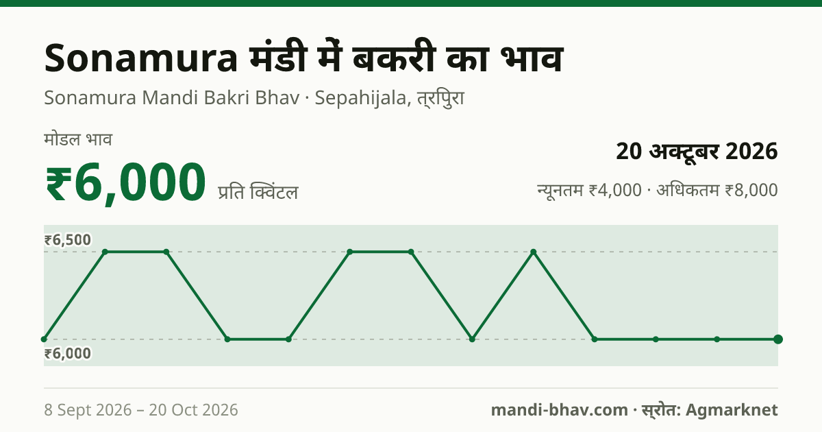 Sonamura मंडी में Goat का भाव 20 अक्टूबर 2026: मोडल ₹6,000 प्रति क्विंटल, भाव के रुझान का चार्ट