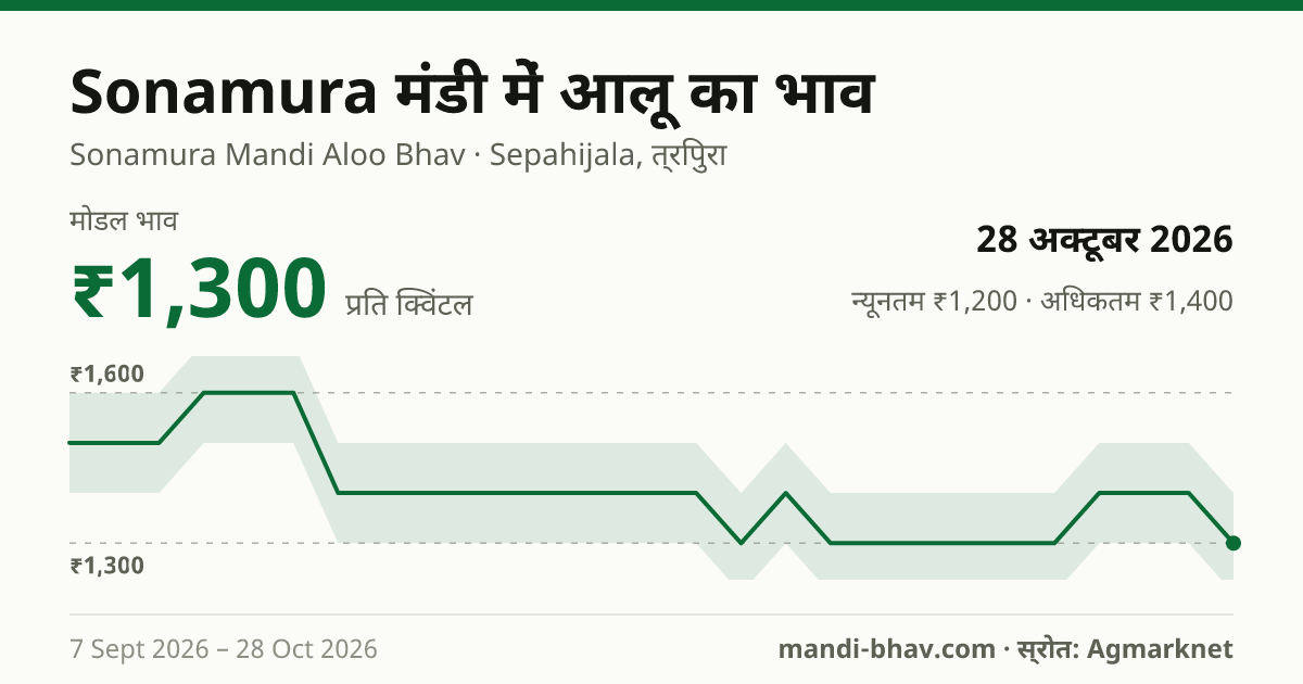 Sonamura मंडी में आलू का भाव 28 अक्टूबर 2026: मोडल ₹1,300 प्रति क्विंटल, भाव के रुझान का चार्ट