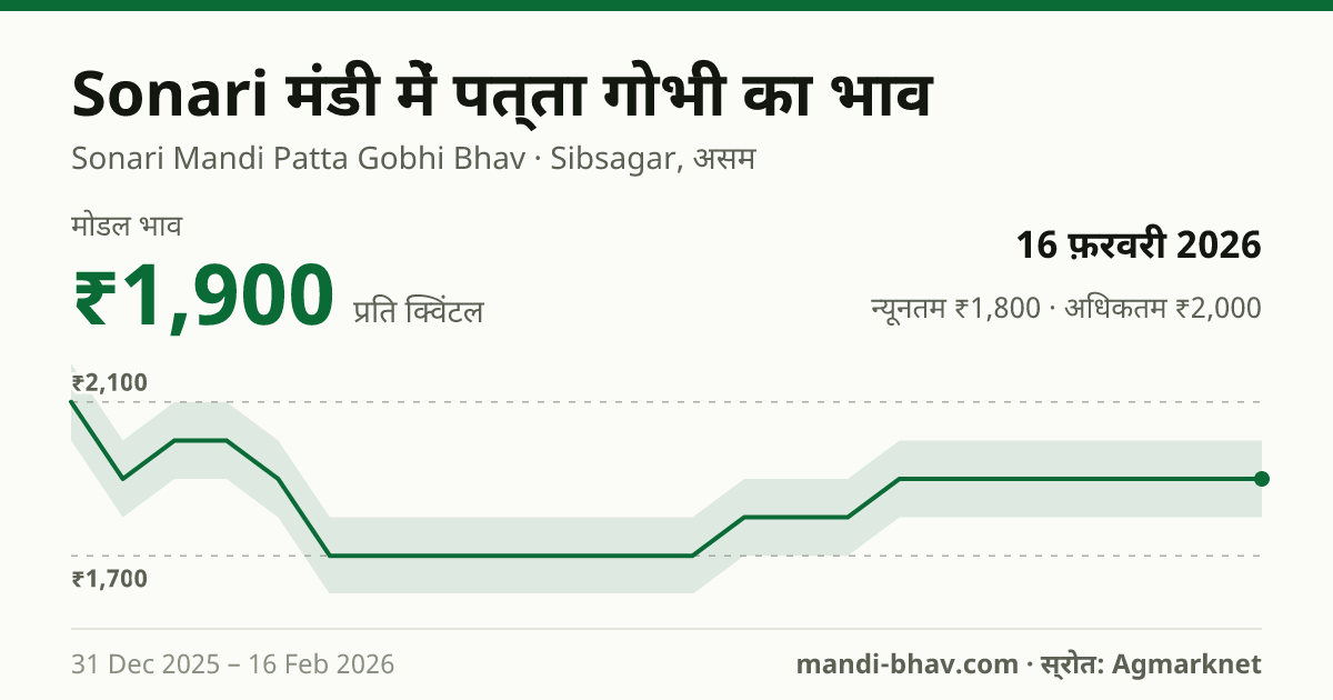 Sonari मंडी में पत्ता गोभी का भाव 16 फ़रवरी 2026: मोडल ₹1,900 प्रति क्विंटल, भाव के रुझान का चार्ट