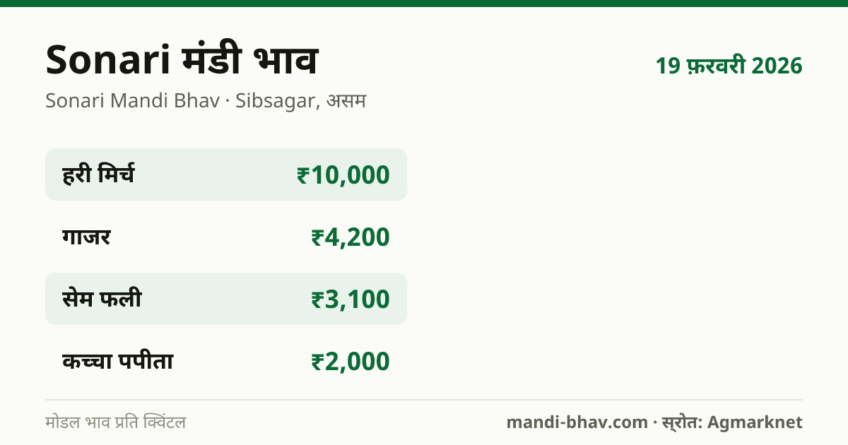 Sonari मंडी भाव 19 फ़रवरी 2026: फसलवार मोडल रेट प्रति क्विंटल