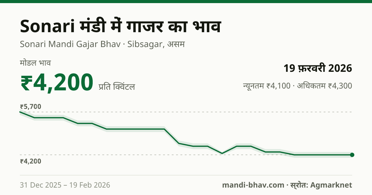 Sonari मंडी में गाजर का भाव 19 फ़रवरी 2026: मोडल ₹4,200 प्रति क्विंटल, भाव के रुझान का चार्ट
