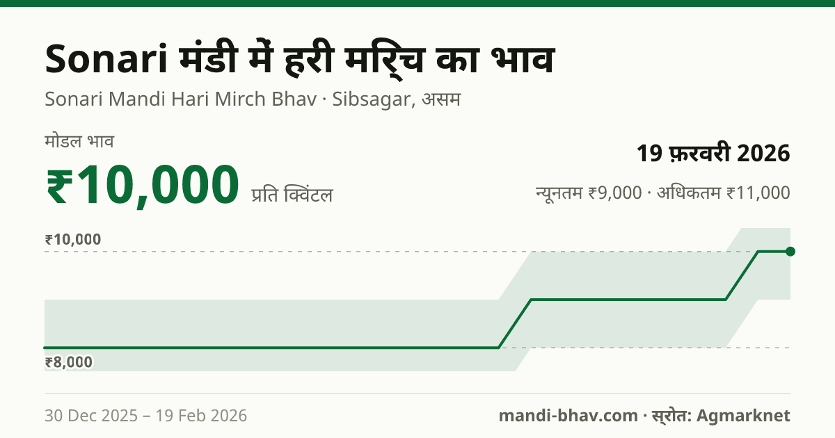 Sonari मंडी में हरी मिर्च का भाव 19 फ़रवरी 2026: मोडल ₹10,000 प्रति क्विंटल, भाव के रुझान का चार्ट