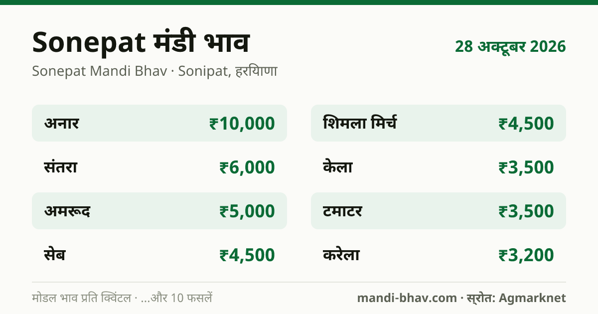 Sonepat मंडी भाव 28 अक्टूबर 2026: फसलवार मोडल रेट प्रति क्विंटल
