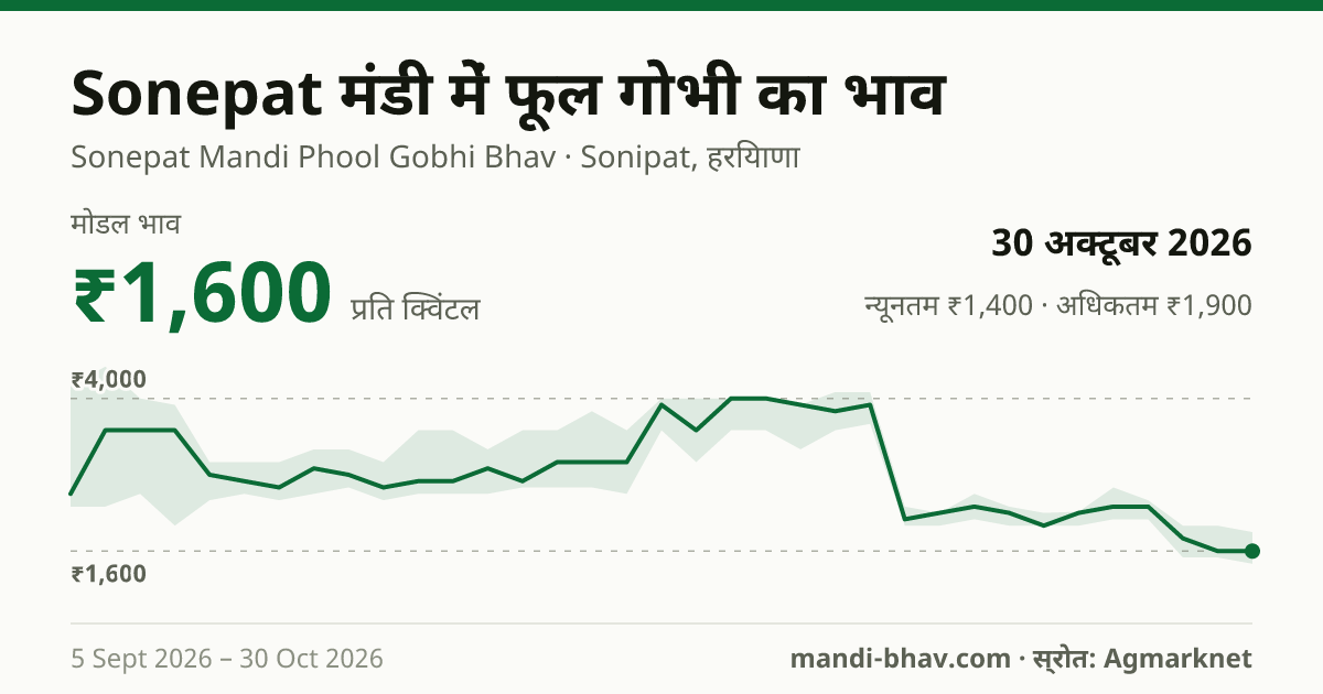Sonepat मंडी में फूल गोभी का भाव 30 अक्टूबर 2026: मोडल ₹1,600 प्रति क्विंटल, भाव के रुझान का चार्ट