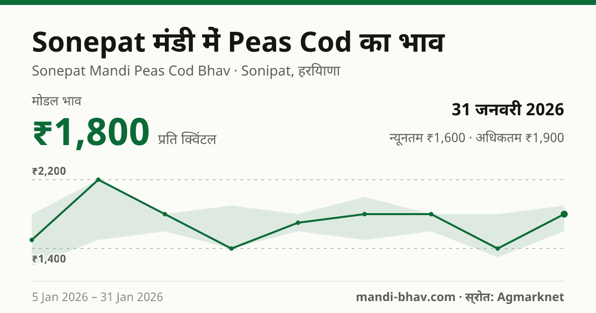 Sonepat मंडी में Peas Cod का भाव 31 जनवरी 2026: मोडल ₹1,800 प्रति क्विंटल, भाव के रुझान का चार्ट