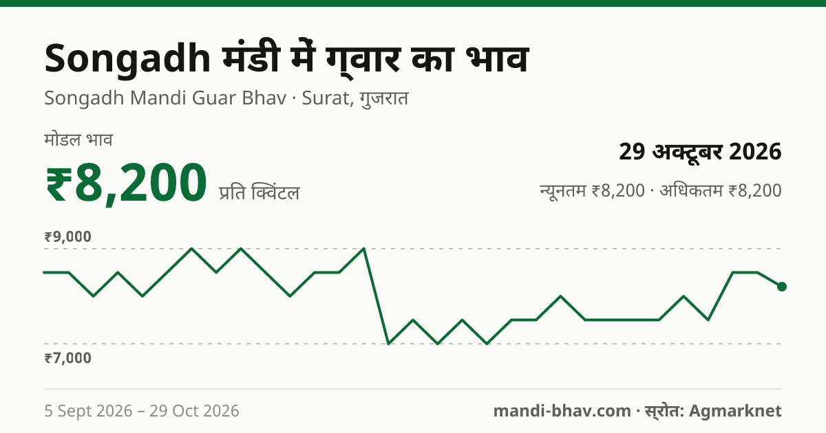 Songadh मंडी में ग्वार का भाव 29 अक्टूबर 2026: मोडल ₹8,200 प्रति क्विंटल, भाव के रुझान का चार्ट
