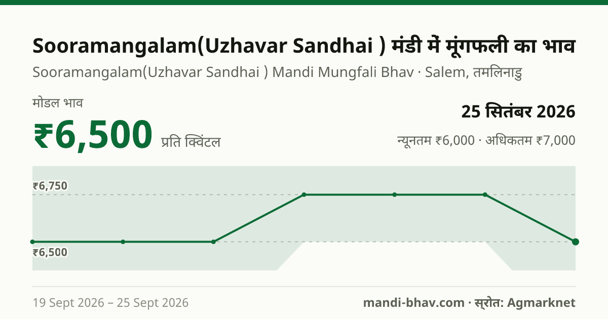 Sooramangalam(Uzhavar Sandhai ) मंडी में मूंगफली का भाव 25 सितंबर 2026: मोडल ₹6,500 प्रति क्विंटल, भाव के रुझान का चार्ट