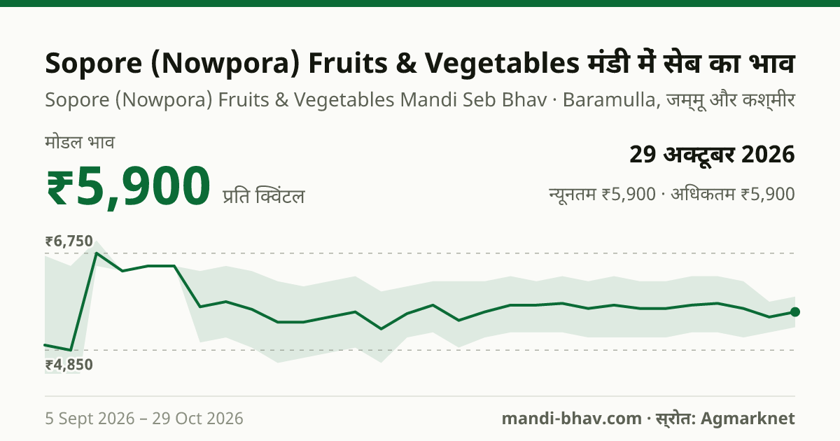 Sopore (Nowpora) Fruits & Vegetables मंडी में सेब का भाव 29 अक्टूबर 2026: मोडल ₹5,900 प्रति क्विंटल, भाव के रुझान का चार्ट