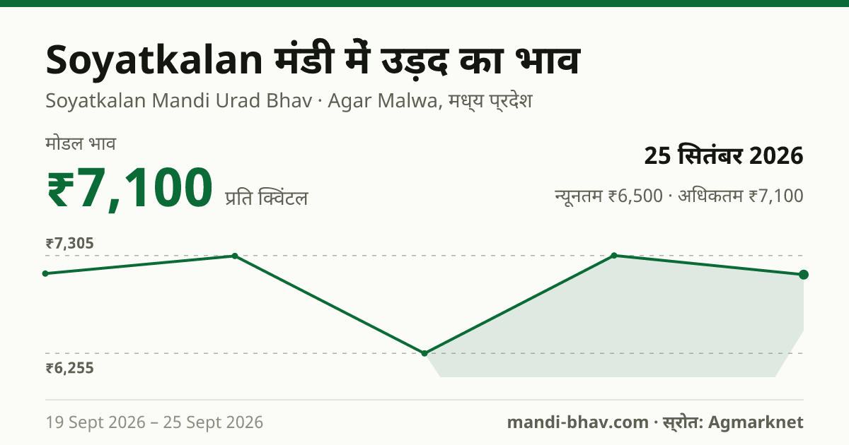 Soyatkalan मंडी में उड़द का भाव 25 सितंबर 2026: मोडल ₹7,100 प्रति क्विंटल, भाव के रुझान का चार्ट