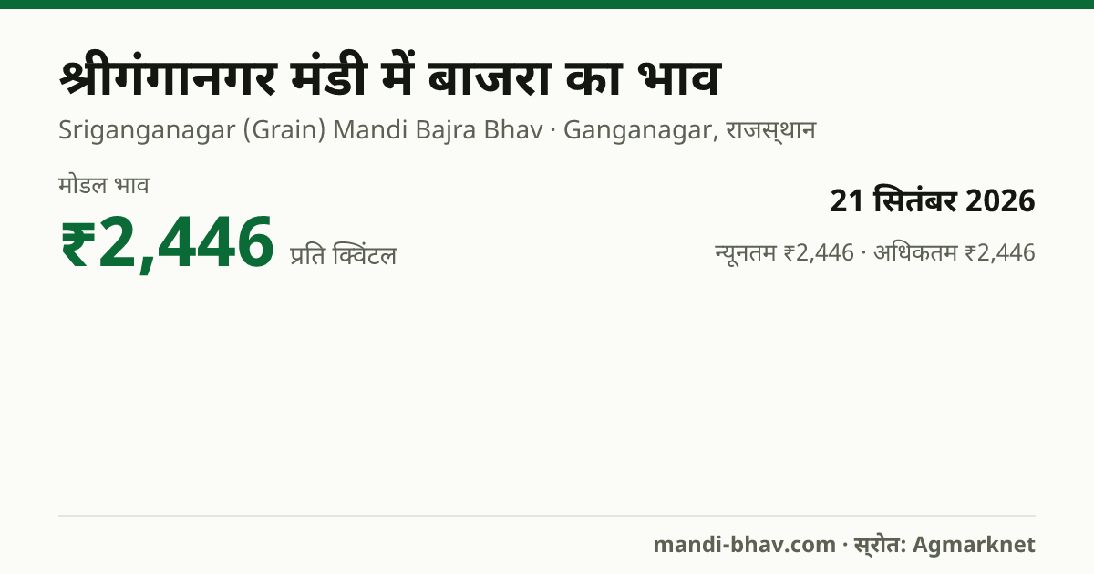 श्रीगंगानगर मंडी में बाजरा का भाव 21 सितंबर 2026: मोडल ₹2,446 प्रति क्विंटल, भाव के रुझान का चार्ट