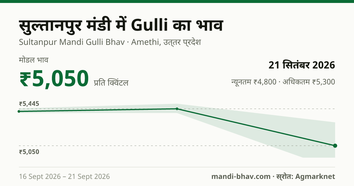 सुल्तानपुर मंडी में Gulli का भाव 21 सितंबर 2026: मोडल ₹5,050 प्रति क्विंटल, भाव के रुझान का चार्ट