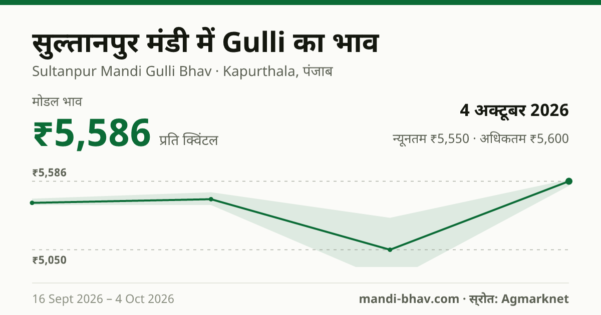 सुल्तानपुर मंडी में Gulli का भाव 4 अक्टूबर 2026: मोडल ₹5,586 प्रति क्विंटल, भाव के रुझान का चार्ट